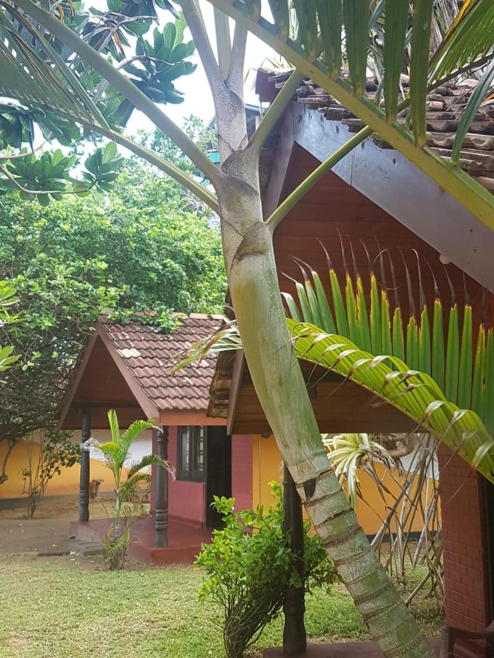 Dreamvillage Dodanduwa Εξωτερικό φωτογραφία
